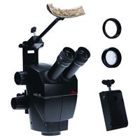 Mikroskop Leica A60