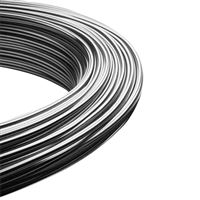 Nerezový drát 0,3 mm (70 m)